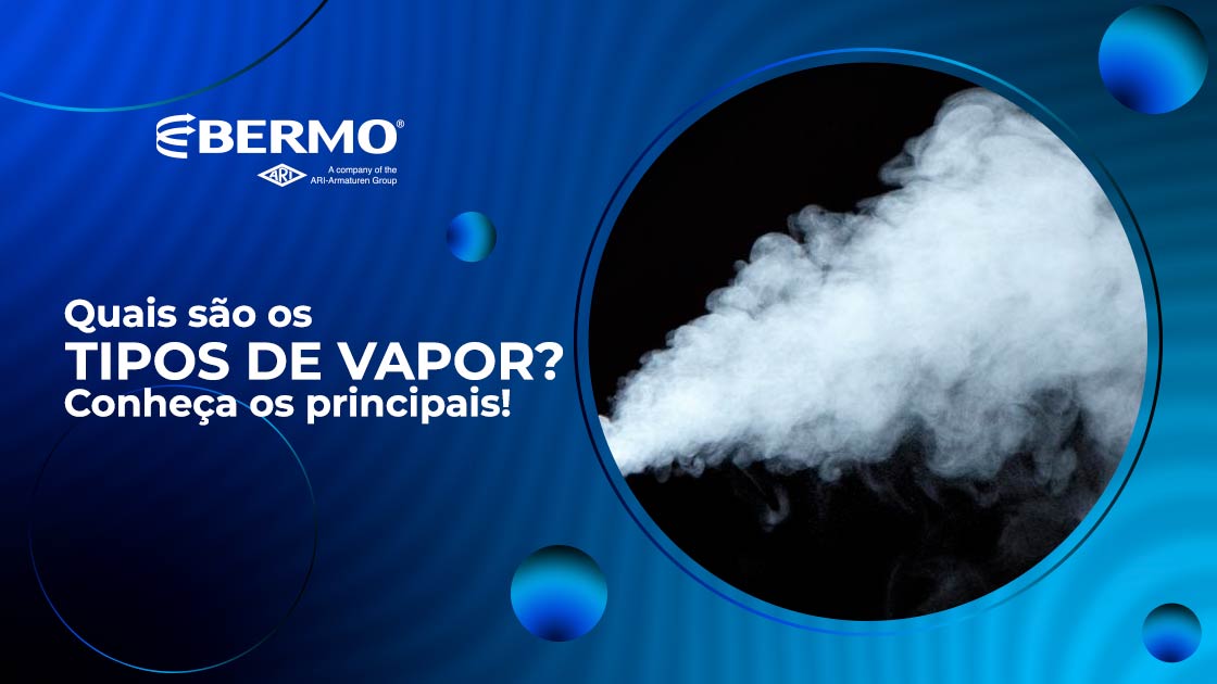 Quais S O Os Tipos De Vapor Conhe A Os Principais