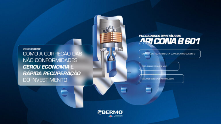 Auditoria Energética de Purgadores - Case de Sucesso: - Bemo